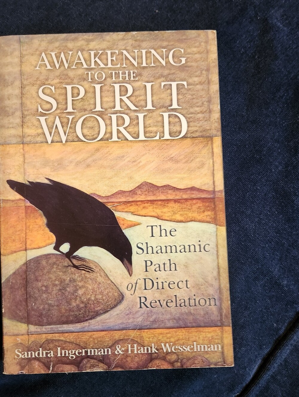 Awakening to the Spirit World by Sandra Ingerman & Hank Wesselman - Brown Cover